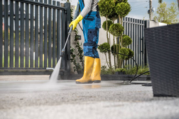 Best Sidewalk and Walkway Cleaning  in Mendenhall, MS